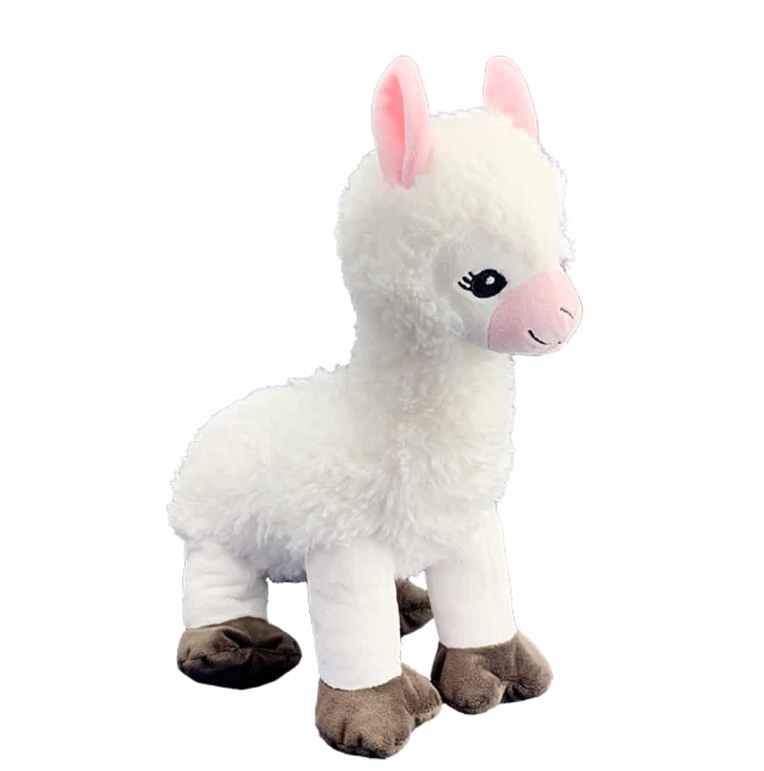 Llama