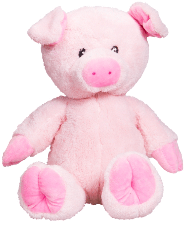 Pig